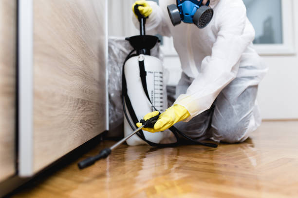 Best Best Pest Control Companies  in Laguna Beach, CA